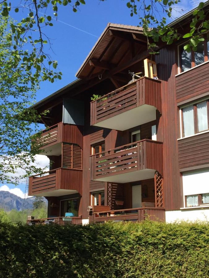 Appartement Face Au Mont Blanc & Glaciers Chamonix Exteriér fotografie